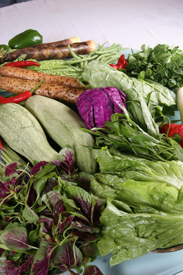 蔬菜大全与水果种植指南