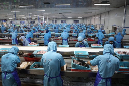 火热的预制菜市场 内藏海南农业高质量发展的致富密码